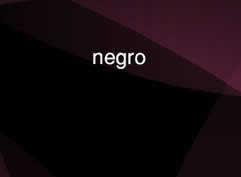 
			My name is Ricardo Castillo 