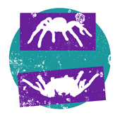 
			My name is Harantula 